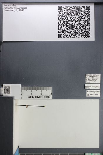 Media type: image;   Entomology 544868